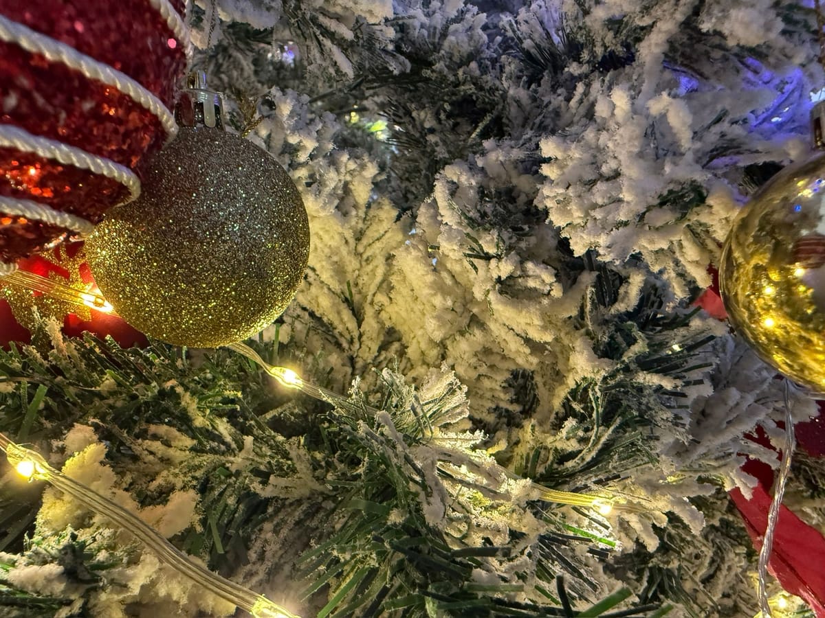 Merry Christmas